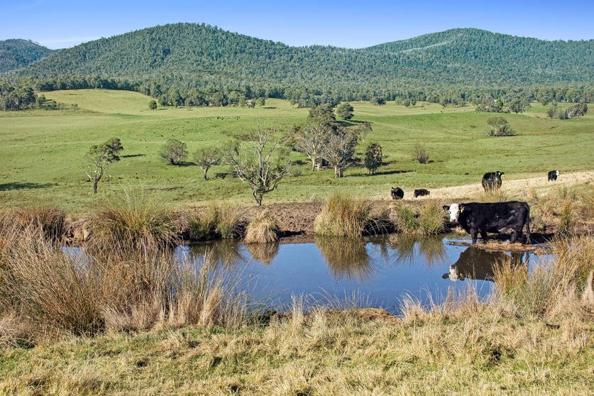 Click to view all images 145 Waterhole Gully Road Bonang VIC 3888 - Image 3