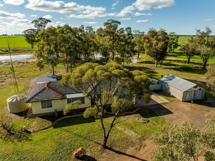 Click to view all images 795 Younga Plains Rd West Wyalong NSW 2671 - Image 2