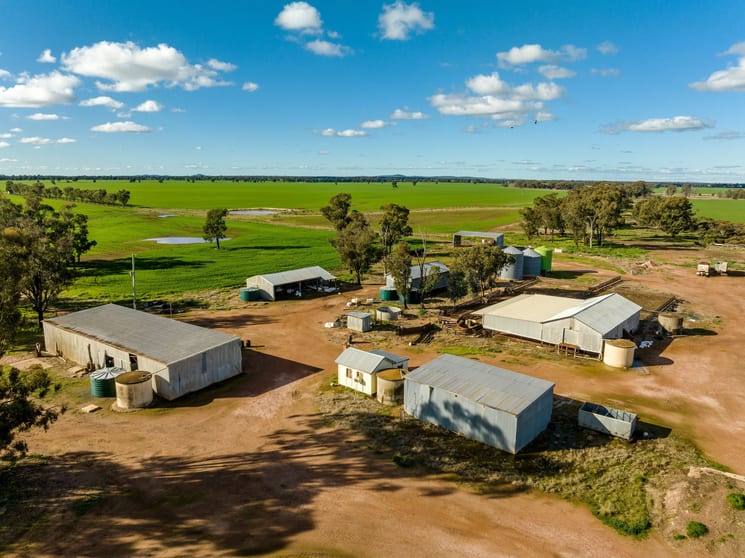 Click to view all images 795 Younga Plains Rd West Wyalong NSW 2671 - Image 3