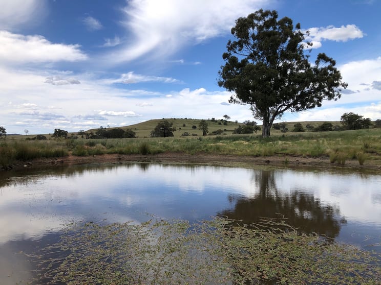 Click to view all images Nullamanna NSW 2360 - Image 3
