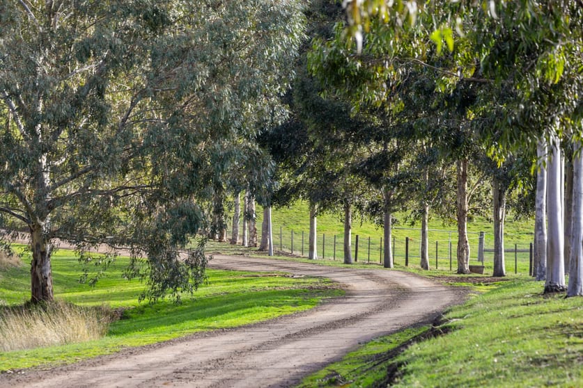 Click to view all images 1380 Steiglitz Road Sutherlands Creek VIC 3331 - Image 3