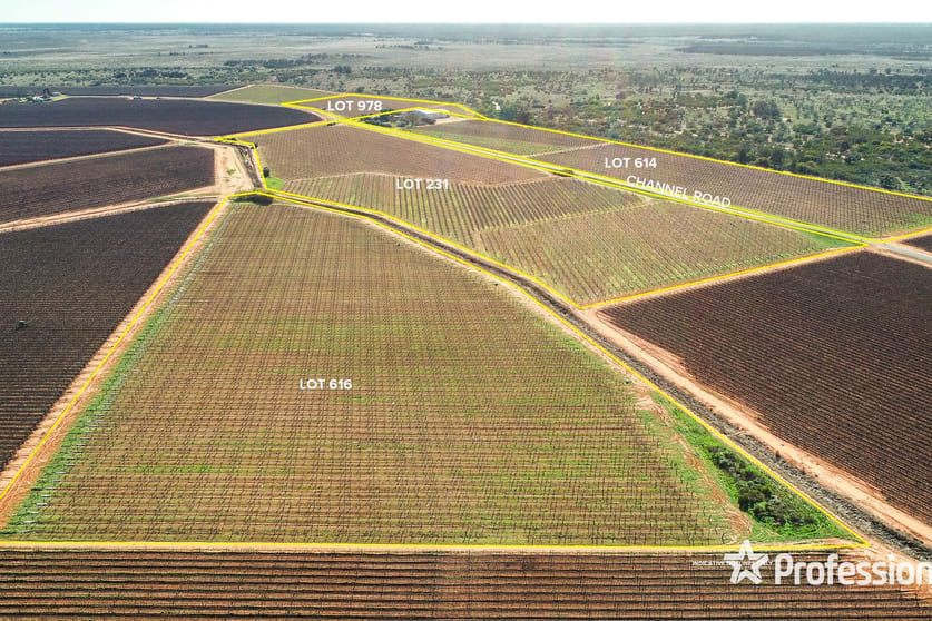 160 Channel Road Coomealla NSW 2717 - Image 2