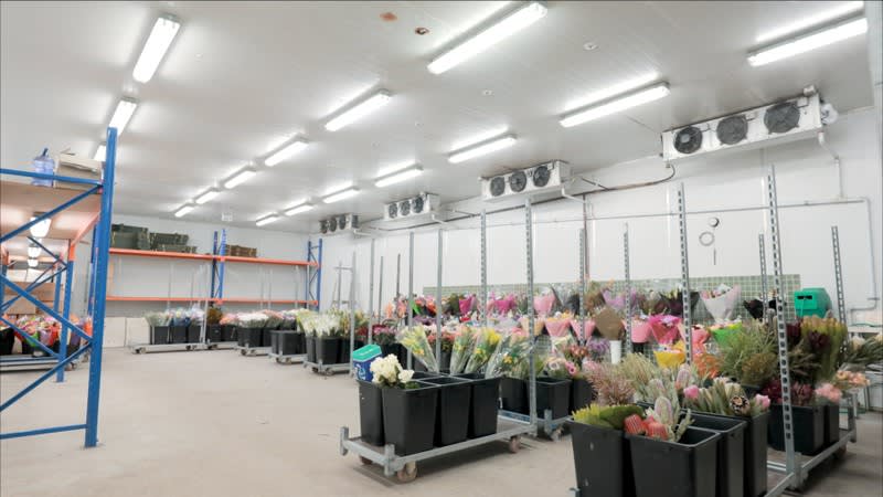 Click to view all images Shop & Retail business for sale in Canberra Airport - Image 2