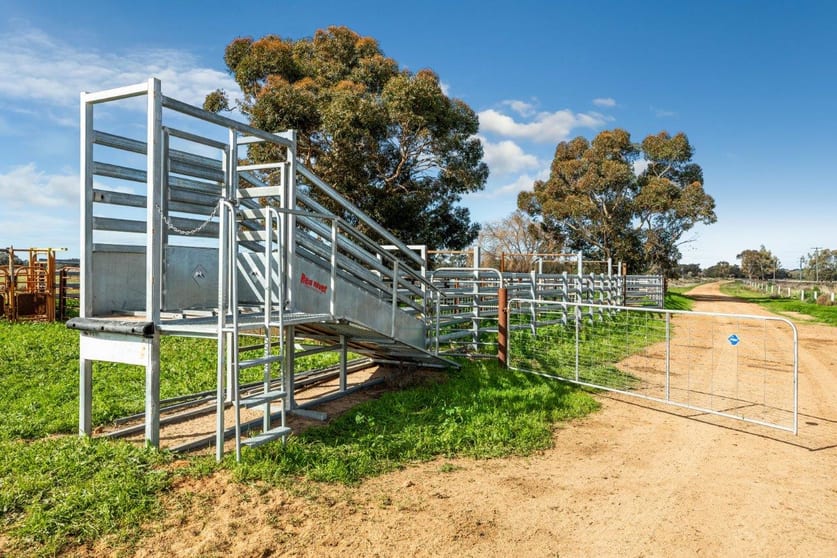 495 Burraboi Road Barham NSW 2732 - Image 2