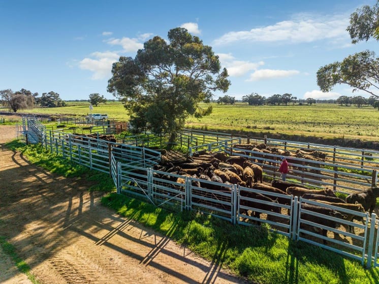 495 Burraboi Road Barham NSW 2732 - Image 1
