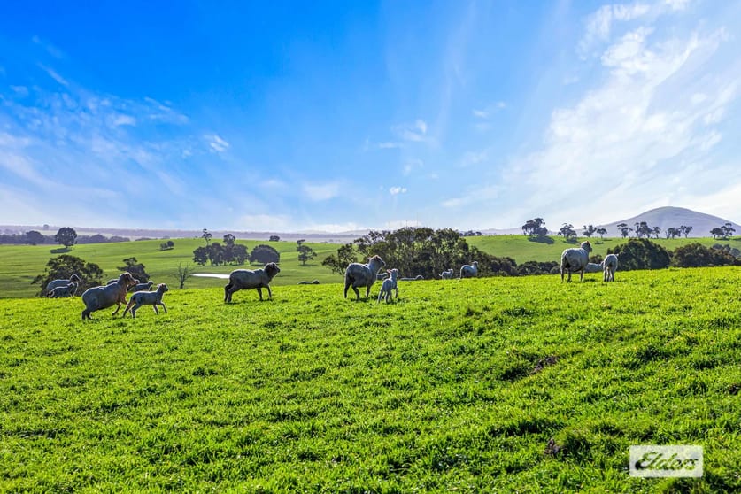 Click to view all images Warrayadin Road Ararat VIC 3377 - Image 2