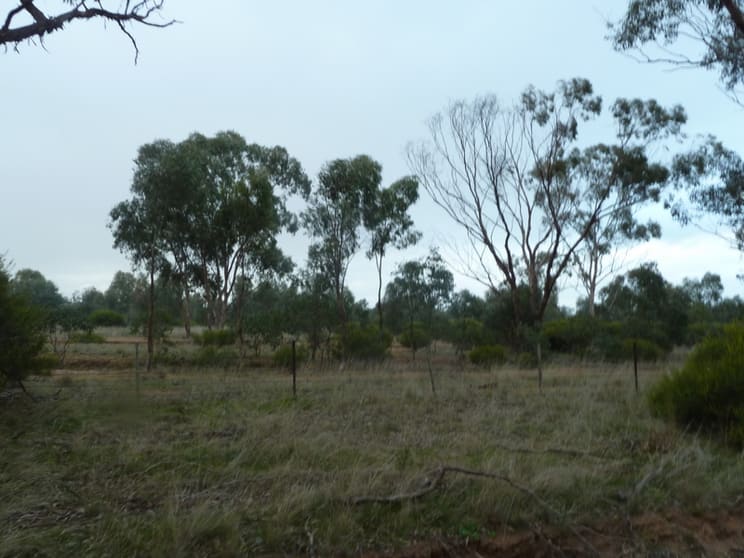 Click to view all images Lot 50 Wedderburn Junction East-Fiery Flat Road Wedderburn VIC 3518 - Image 3
