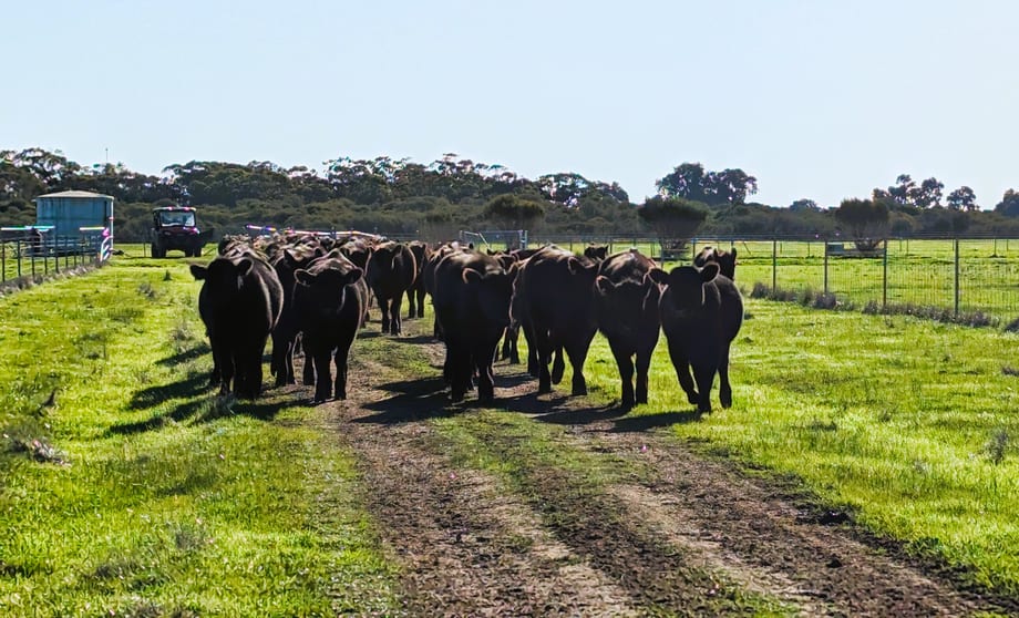 Click to view all images 245 Bootine Road Beermullah WA 6503 - Image 3