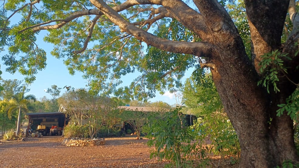 Click to view all images 685 Miles Road Eva Valley NT 0822 - Image 2