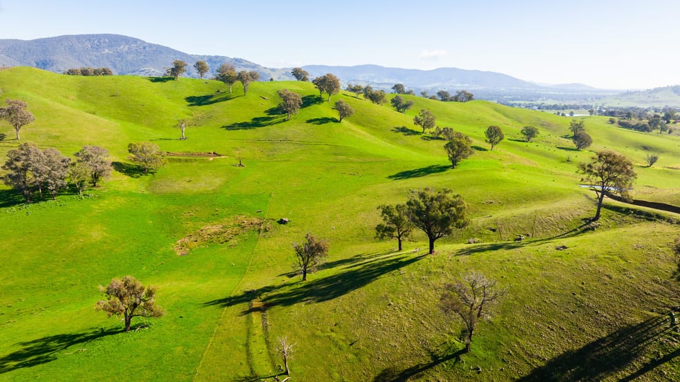 Click to view all images Kiewa East Road Tangambalanga VIC 3691 - Image 3