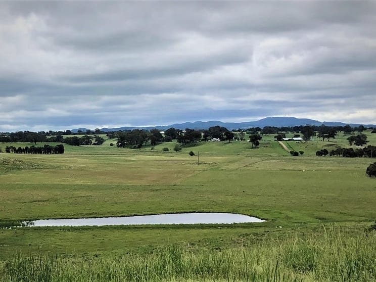 Click to view all images 4397 Mitchell Highway Orange NSW 2800 - Image 2