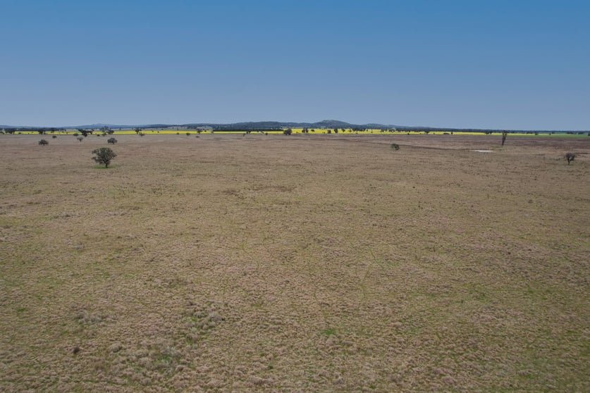 'Weona' 307 Taylors Lane Barmedman NSW 2668 - Image 3