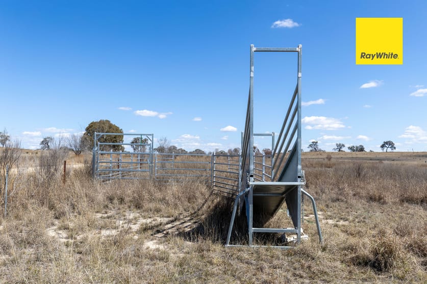 Click to view all images Ashford NSW 2361 - Image 3