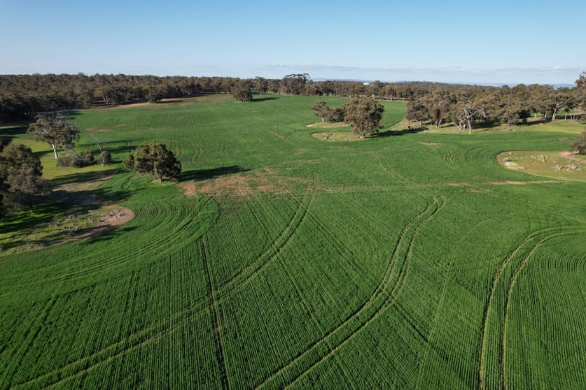 970 Talbot Road Talbot WA 6302 - Image 3