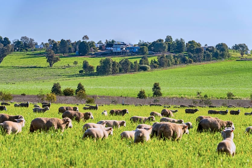 Click to view all images Upside Farm, 104 Flowerdale Road Wagga Wagga NSW 2650 - Image 1