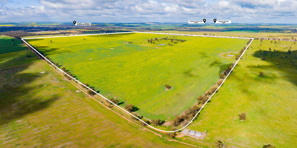 Click to view all images Lonsdale Lane Coolamon NSW 2701 - Image 3