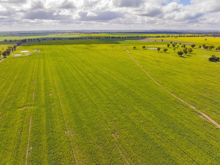 Click to view all images Lonsdale Lane Coolamon NSW 2701 - Image 1