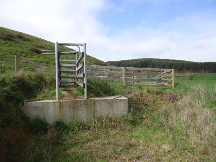 Click to view all images Lot 2 Trowutta Road Edith Creek TAS 7330 - Image 2