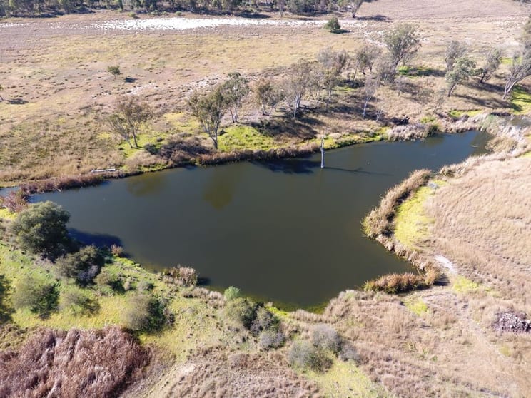 Click to view all images 11608 Gwydir Highway Delungra NSW 2403 - Image 2