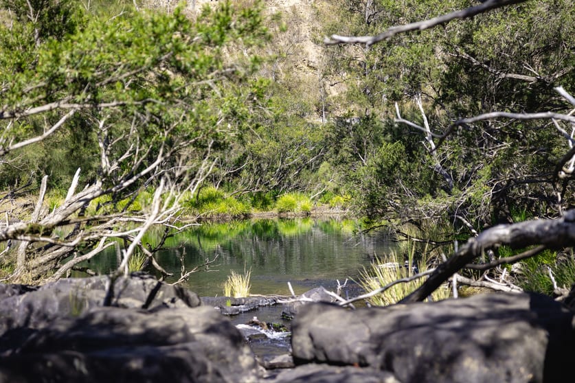 Click to view all images Lot 201 Paddys Flat Road Tooloom NSW 2475 - Image 3