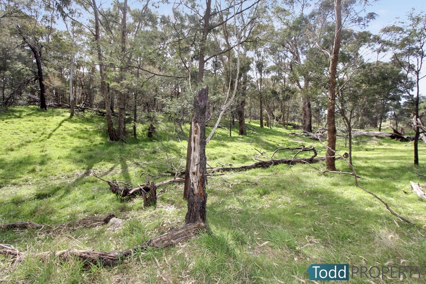Click to view all images 330 Paddys Dam Road Tooborac VIC 3522 - Image 2