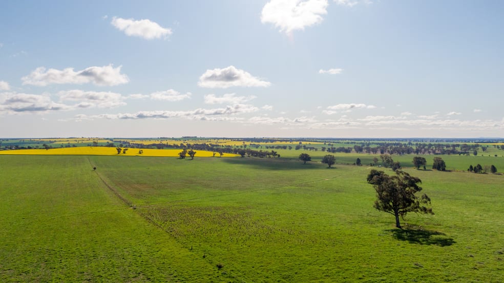 Kincora & Poachers Millwood Road Coolamon NSW 2701 - Image 2