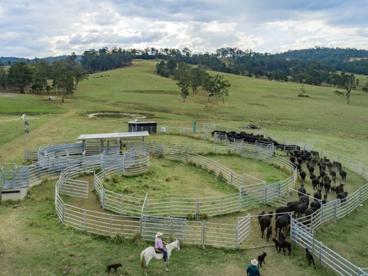 Click to view all images 276 Farm Road Bonalbo NSW 2469 - Image 1