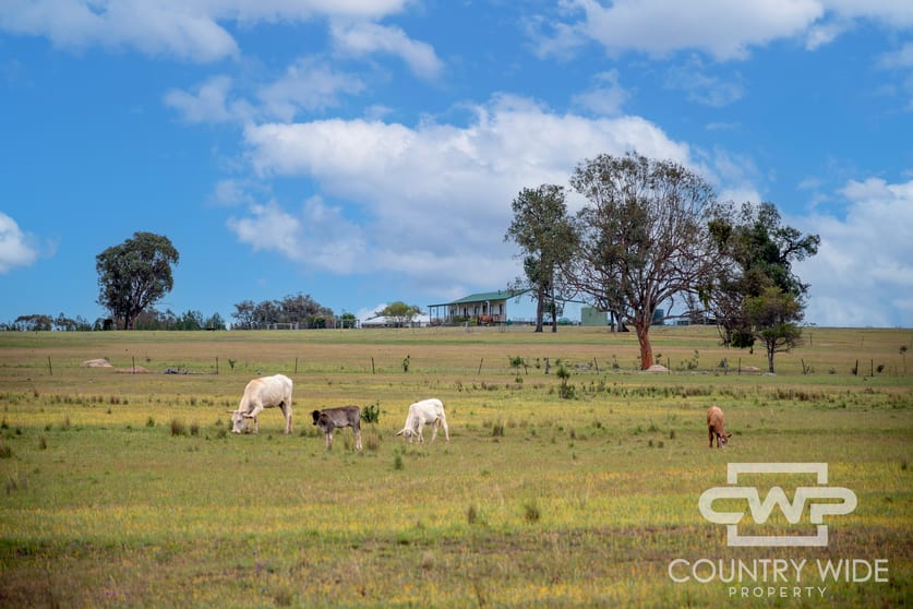 Click to view all images 1461 Atholwood Road Bonshaw NSW 2361 - Image 1