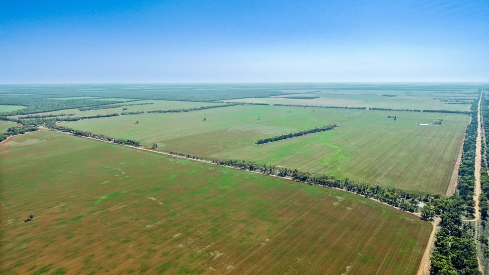 Click to view all images 'Pangee Park' Peisley Road Nyngan NSW 2825 - Image 3