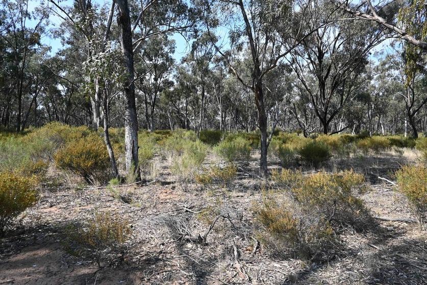 Click to view all images 17, A KURTING KINGOWER ROAD Kingower VIC 3517 - Image 2