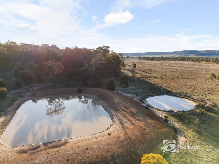 Click to view all images 2549 Digilah Road Dunedoo NSW 2844 - Image 1