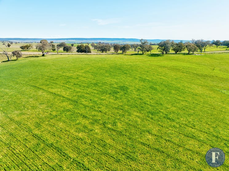 Lot 4 Geegullagong Roads Murringo NSW 2586 - Image 3