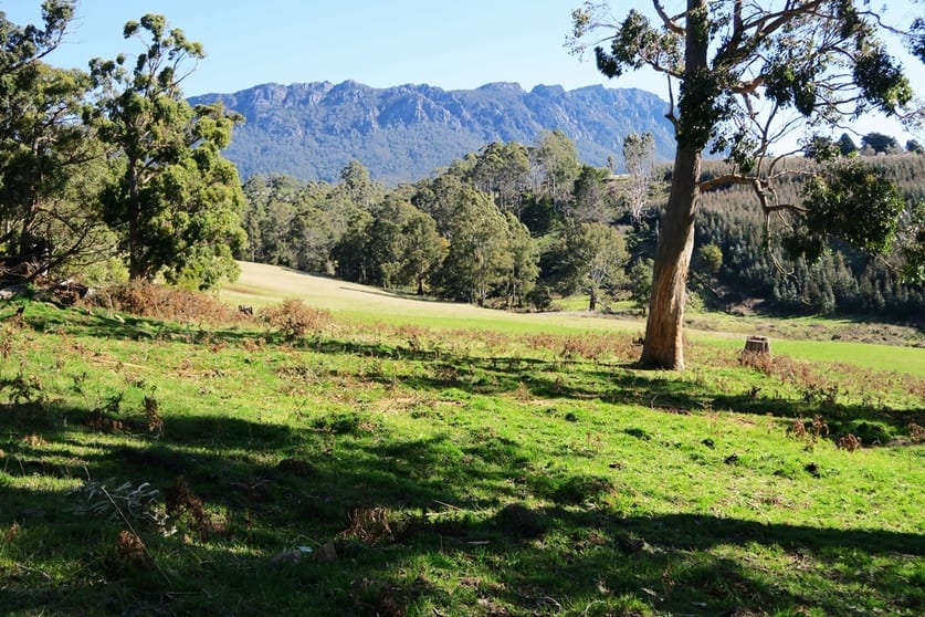34 Watts Road Paradise TAS 7306 - Image 3