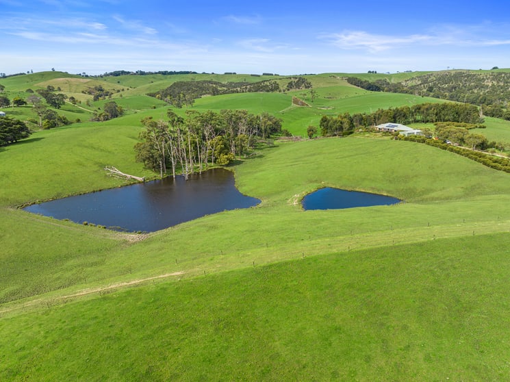 68 Maddisons Road Stony Creek VIC 3957 - Image 3