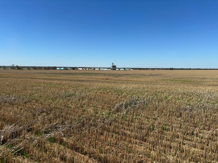 - Woorinen-Goschen Road Woorinen South VIC 3588 - Image 3