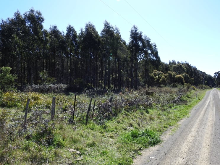 2140066, 2140066 Hop Valley Road Blackwood Creek TAS 7301 - Image 2