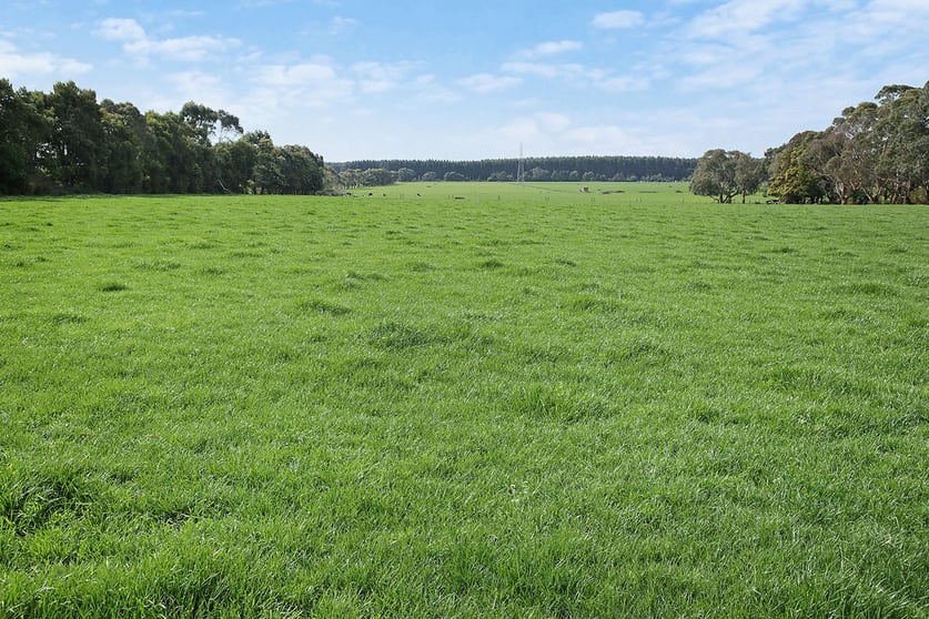 570 Swan Marsh Road Swan Marsh VIC 3249 - Image 3