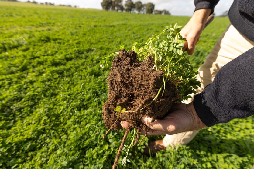 Click to view all images Sect 372 - 377 Riddoch Highway Naracoorte SA 5271 - Image 2