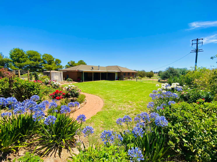 36 Lesterfield Lane Coolamon NSW 2701 - Image 2
