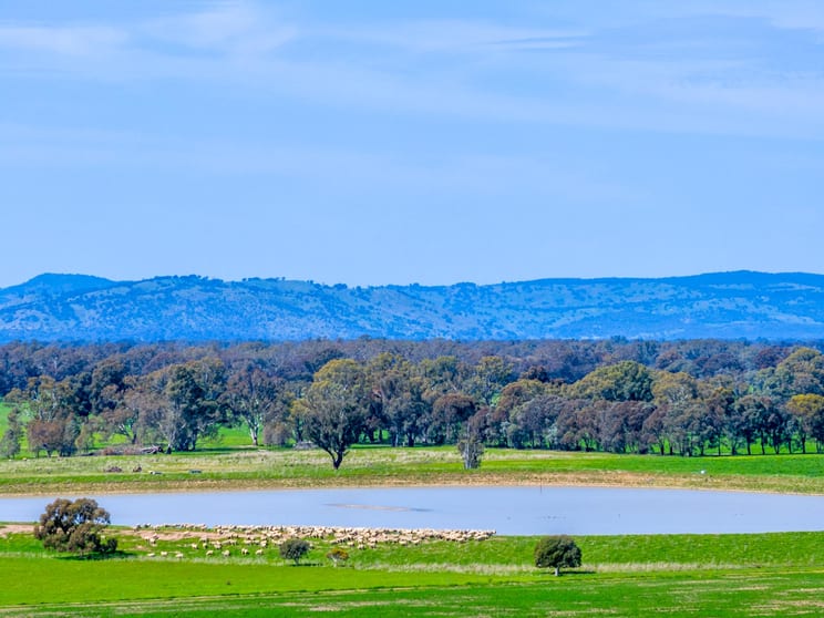 1350 Geodetic Road Euroa VIC 3666 - Image 1