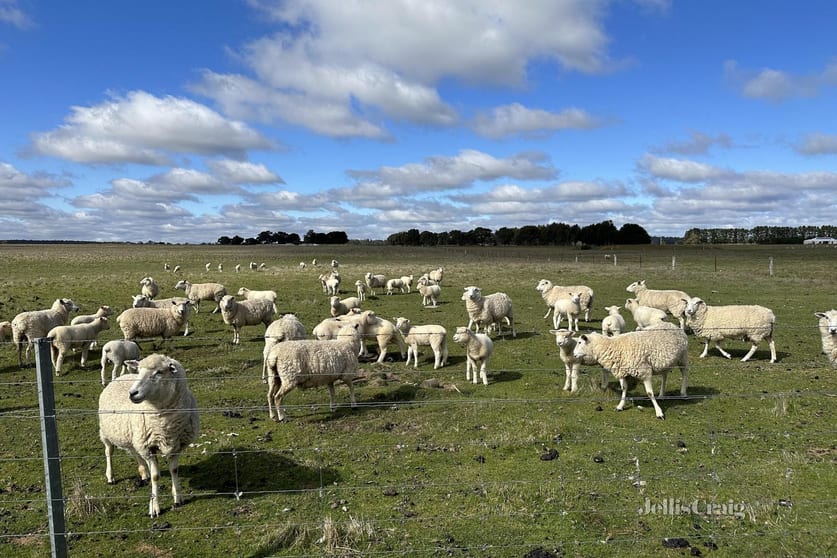 Click to view all images 3a Racecourse Road Haddon VIC 3351 - Image 2
