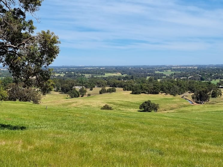 Click to view all images Lot 100 Coalfields Highway Roelands WA 6226 - Image 1