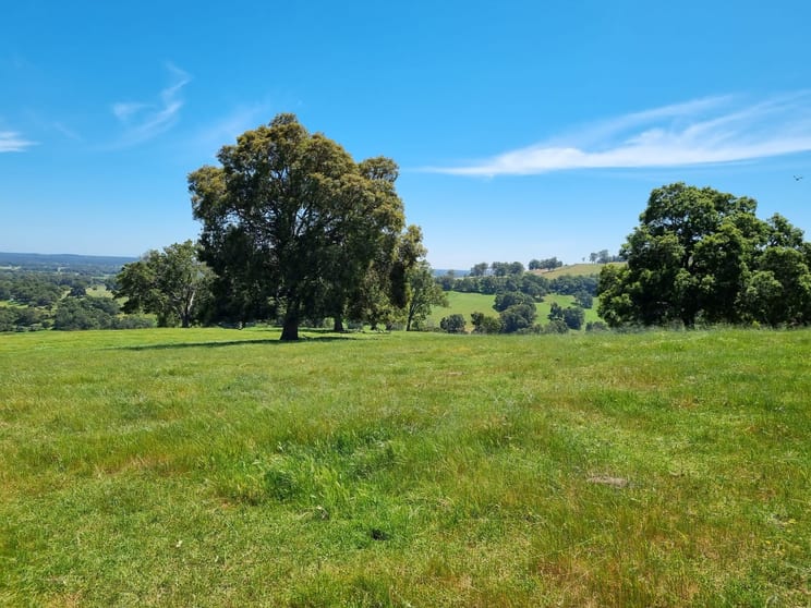 Click to view all images Lot 100 Coalfields Highway Roelands WA 6226 - Image 3