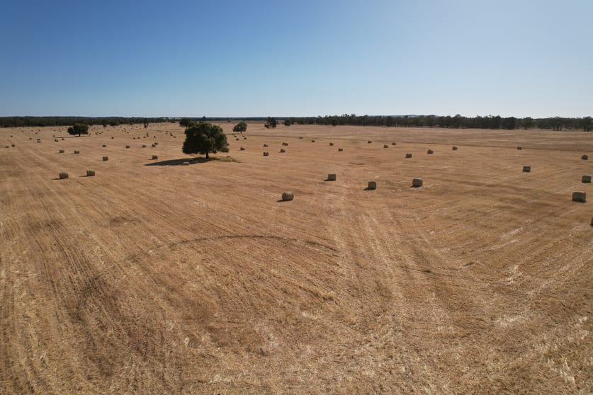 Click to view all images 'Boree Glen' 456 Whymarks Lane Tullibigeal NSW 2669 - Image 1
