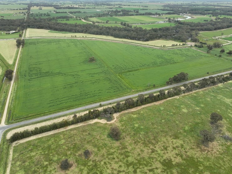 Click to view all images 1006 Katamatite Nathalia Road Waaia VIC 3637 - Image 3
