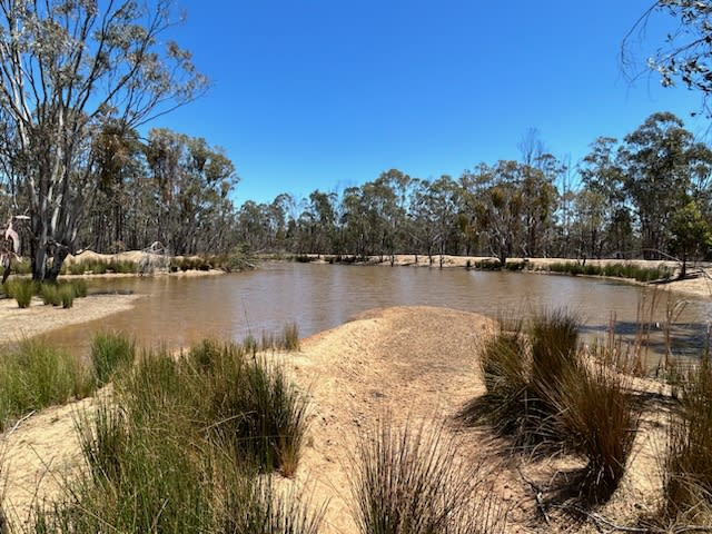 Click to view all images 160 Brooklyn Road West Leyburn QLD 4365 - Image 1