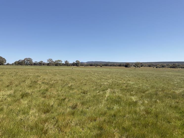 399 Henty Highway Brimpaen VIC 3401 - Image 3