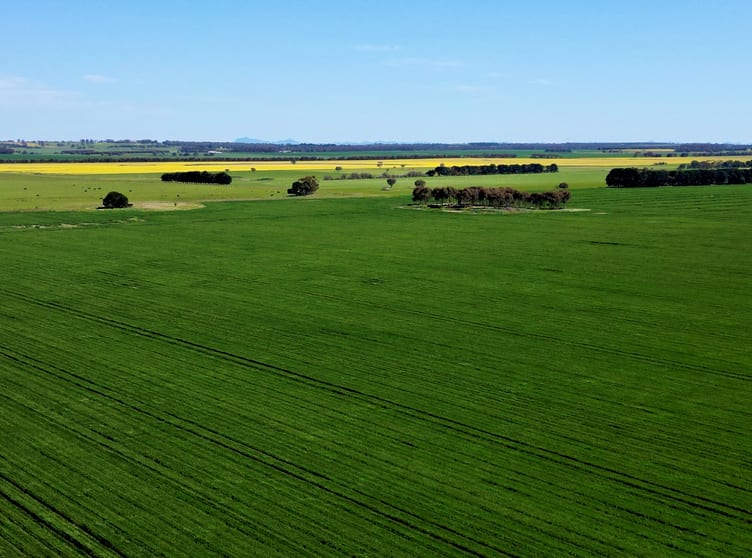 Click to view all images Woorndoo-Darlington Road Woorndoo VIC 3272 - Image 1