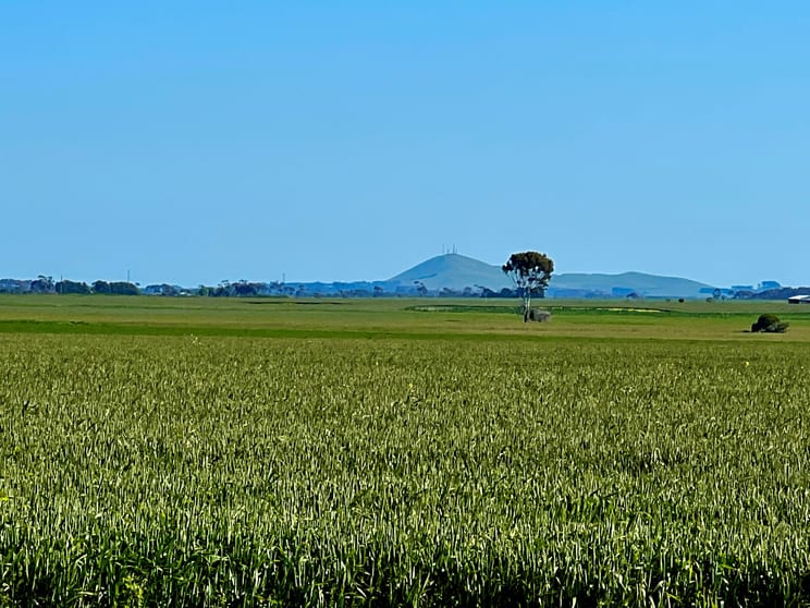Click to view all images Woorndoo-Darlington Road Woorndoo VIC 3272 - Image 2