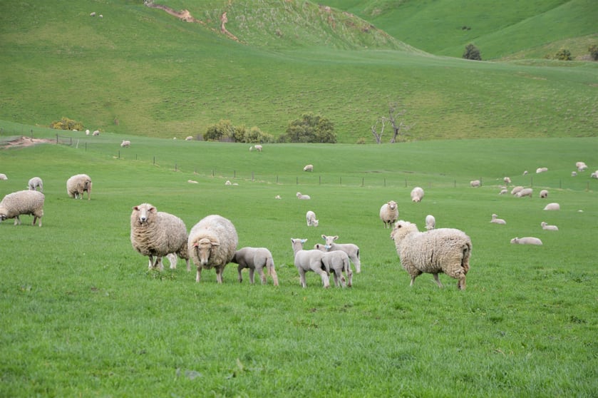 Click to view all images 135A Baker Road Krowera VIC 3945 - Image 2